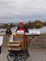 Шарманщик на Карловом мосту
